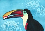 by Nancy Woolweber