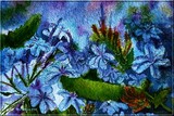 by Nira Dabush