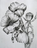 by Tanya Antimirova