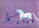 by Shawna Lynn Ballard