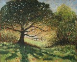 by John Graham Inkson