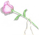 by H. Harper