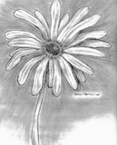 by melissa opperman