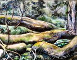 by Timothy McAninch