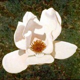by Barbara Johnson