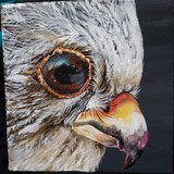 by Leah Penner