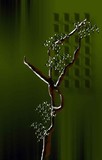 by sreeni vannadil