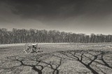 by Alex Preiss