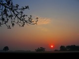 by Nelly van Nieuwenhuijzen