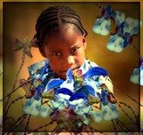 by Lisa Brewer