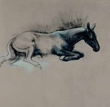 by Robyn Ryan