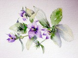 by P Preston