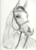 by JoAnna Bova