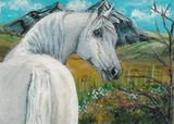 by Melissa Hall