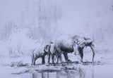 by dean loades
