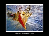 by Donna Proctor