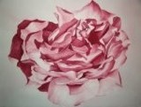 by Malissa Myers