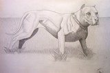 by Keisha Acrey
