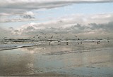 by Gerard van den Berge