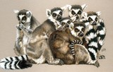 by Barbara Keith