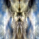 by TOMMY  BEAVER