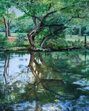 by Heather Leigh Douglas