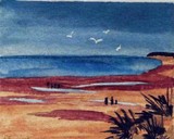 by rosa dalessio