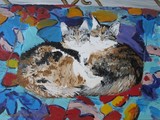 by Sharon De Vore