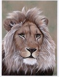 by diane deason