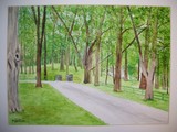 by rosanne mattheson