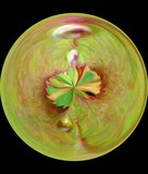 by Rhonda Barrett