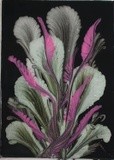 by rosemarie giordano