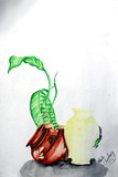by Anila Choudary