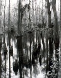 by Michael Jones