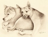 by Maggie Coburn