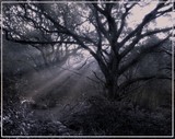 by Hille Bouma