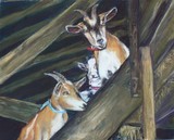 by Joan  Wulff