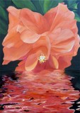 by Julieanne Case