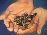 by Shirley Charlton