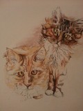 by Charlotte Ive