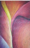 by Dawn Giunta
