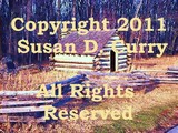by Susan Curry
