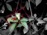 by yatin bhatia