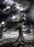 by Betta  Artusi
