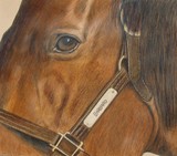by Diane Kopczeski