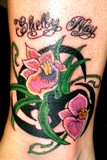 by Chris Aleman