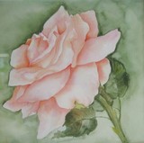 by Martha Efurd