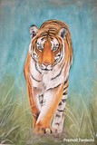 by pramod pardeshi