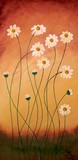 by Peggy Garr
