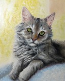 by Katya Wentz